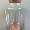Terrarium Kit - Image 4