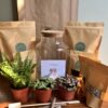 Terrarium Kit