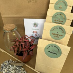 Terrarium Kit